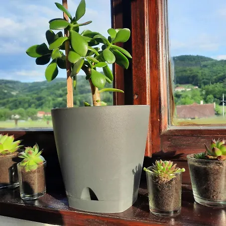 Drinski Oganj Kuca Za Odmor *