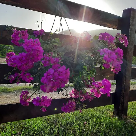 Drinski Oganj Kuca Za Odmor *