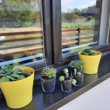 Drinski Oganj Kuca Za Odmor Bajina Basta