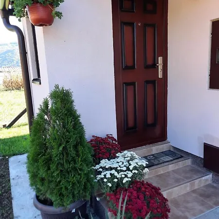 Drinski Oganj Kuca Za Odmor