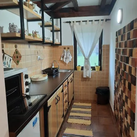 Drinski Oganj Kuca Za Odmor Σπίτι διακοπών Bajina Basta