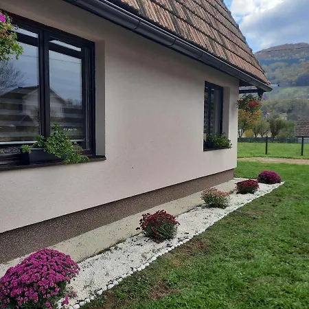 Drinski Oganj Kuca Za Odmor * Bajina Basta