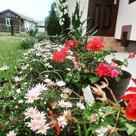 Drinski Oganj Kuca Za Odmor Bajina Basta