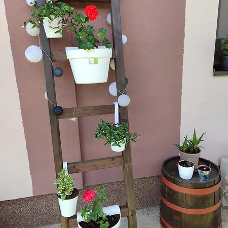 Drinski Oganj Kuca Za Odmor Σπίτι διακοπών Bajina Basta