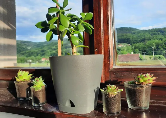 Drinski Oganj Kuca Za Odmor *