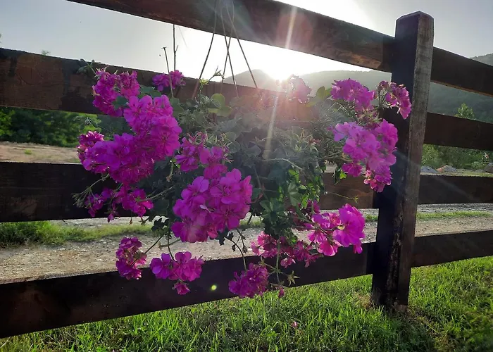 Drinski Oganj Kuca Za Odmor *