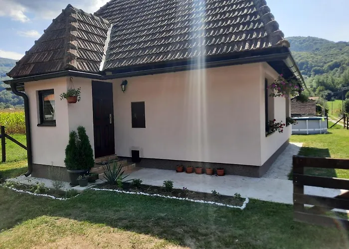 Drinski Oganj Kuca Za Odmor