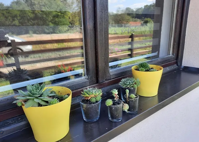 Drinski Oganj Kuca Za Odmor Bajina Basta