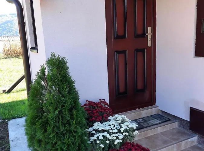 Drinski Oganj Kuca Za Odmor