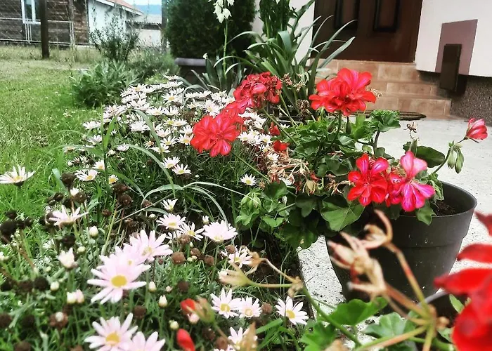 Drinski Oganj Kuca Za Odmor Bajina Basta